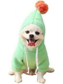 Warm Dog Winter Clothes Cute Fruit Dog Coat Hoodies Fleece Pet Dogs Costume French Bulldog Chihuahua Ropa Para Perro(Green,XS) - 綠色 - 查看 1