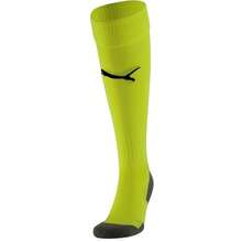 Puma Unisex Adult Liga Core Football Socks (Green)