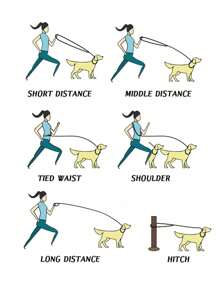 1pc Luminous Nylon Flat Leash With Reflective Strips, Crossbody Pet Lead Suitable For Medium To Small Pets, Hands-Free Walking And Running