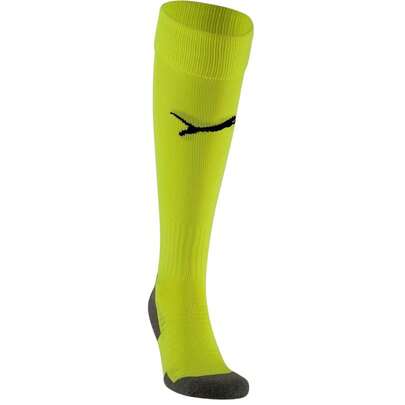 Puma Unisex Adult Liga Core Football Socks (Green)