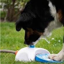 1pc Pet Paw Activated Automatic Water Dispenser, Sprinkler Waterer Drinking Machine, Dog Paw Operated Water Toy For Outdoor Garden - Multicolor - View 1