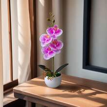1 盆仿真蝴蝶兰盆栽，逼真的仿真兰花盆栽，适合居家、酒店、办公桌摆设，配塑料花盆 - 1盆人造蘭花盆栽 - 查看 12