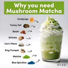 2 PCs Mushroom Matcha, USDA Organic With 6Adaptogenic Mushrooms And Ceremonial-GradeJapanese Matcha , Energy, Focus, Digestion,Lmmunity With Cordyceps, Lion's Mane, Reishi Turkey Tail, 30 Servings - 2個袋子 - 查看 4