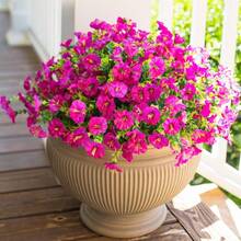 Artificial Flower Plants Outdoor Outdoor Decoration,12 Bundles Of Fake Silk Color Morning Glory UV Sunscreen Appearance Real Suitable For Spring/Summer Front Porch Garden POTS Garden Jars- No Container Included - Multicolor - View 12