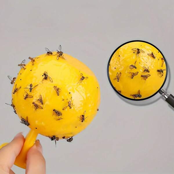 2pcs Fruit Fly Trap - Waterproof, Heat-Resistant, Suitable For Home, Apartment, And Office, No Electricity Needed