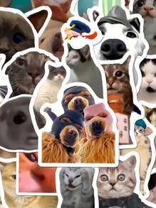 202/404 Pcs Cute Cat Meme Stickers Creative DIY Funny Stickers For Scrapbooking, Diary, Phone Case, Fridge, Waterproof, No Battery, No Feather, Suitable For Notebook, Scrapbook, DIY Crafts, Laptop, Phone Case