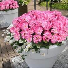 1/2 piezas - 5 ramas/ 1 manojo - Flor artificial de Geranio de seda Planta falsa para decoración del hogar, exterior, jardín, rubí (rojo), porche, hogar, jardín interior y exterior, cementerio, corona, decoración de boda