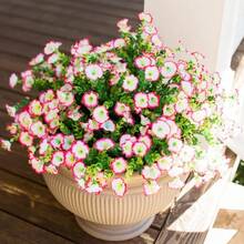 Artificial Flower Plants Outdoor Outdoor Decoration,12 Bundles Of Fake Silk Color Morning Glory UV Sunscreen Appearance Real Suitable For Spring/Summer Front Porch Garden POTS Garden Jars- No Container Included - Multicolor - View 4