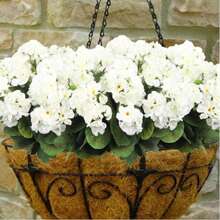 1/2 pièces - 5 branches / 1 bouquet - Fleur artificielle, géranium artificiel en fleur de soie, plante fausse. Décorations pour la maison, le jardin, le porche, l'intérieur et l'extérieur, le cimetière, les couronnes, les mariages et le jardin (couleur : rouge rubis)