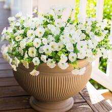 Artificial Flower Plants Outdoor Outdoor Decoration,12 Bundles Of Fake Silk Color Morning Glory UV Sunscreen Appearance Real Suitable For Spring/Summer Front Porch Garden POTS Garden Jars- No Container Included - Multicolor - View 11