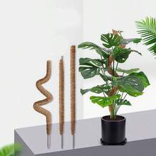 1 件装 苔藓杆 龟背竹植物支架 苔藓杆 龟背竹苔藓杆 适用于攀爬植物 柔性植物杆支架 植物桩 适用于室内植物 - 棕色 - 查看 9