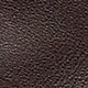 Chocolate Brown