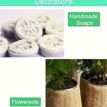 Conjunto de 4 peças de esponjas naturais para limpeza de cozinha, buchas de chuveiro, buchas de banho, buchas esfoliantes corporais para homens e mulheres, adequadas para pele das costas e do rosto, cuidados de SPA.