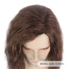 Men Wig Long Men Wig Curly Layered Hooded Flame Retardant Synthetic Wig Men Natural Wig Daily Party Costume Cosplay Wear (Brown), Carnival/Mardi Gras/Masquerade