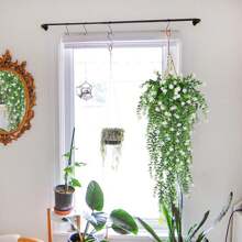 2pcs Artificial Green Vine Money Leaf, 69 Mesh Eucalyptus Camellia Vine, Small Lotus Vine, Artificial Flower, White, Red, Yellow, Artificial Green Vine Money Leaf, 30 Inch Vine Flower, Suitable For Wedding Decoration, Home Decoration, Yard Decoration, Home Decoration,Fake Plants