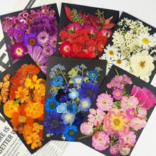 1 confezione/6 confezioni di fiori secchi per resina, fiori pressati, kit di erbe secche sfuse per scrapbooking fai-da-te, stampi per gioielli in resina epossidica, candele, sapone, decorazione unghie, accessori fai-da-te per regali artigianali