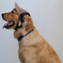 Dog Sunscreen Baseball Cap With Ear Holes - Adjustable Outdoor Sports Hat For Small, Medium & Large Dogs | UV Protection, Breathable Pet Sun Hat - Royal Blue - View 6