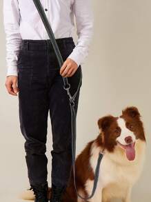 1pc Luminous Nylon Flat Leash With Reflective Strips, Crossbody Pet Lead Suitable For Medium To Small Pets, Hands-Free Walking And Running