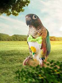 Random Color Parrot Diaper (Bird Clothing) - Multicolor - View 3