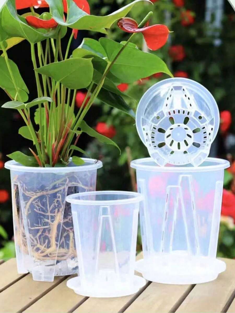 1/3/5 件透明加厚充气兰花盆，带侧排水孔，适合空气植物、百合、蝴蝶兰 - 彩色 - 查看 1