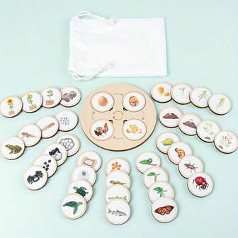 儿童动物生命周期学习套装 - 木制益智玩具，配有贴纸、展示托盘和储物袋，木制生命周期托盘，配有可拆卸植物生命周期拼图，适用于学龄前儿童的认知发展，棋盘，教具，植物，多色