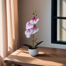 1 盆仿真蝴蝶兰盆栽，逼真的仿真兰花盆栽，适合居家、酒店、办公桌摆设，配塑料花盆 - 1盆人造蘭花盆栽 - 查看 18