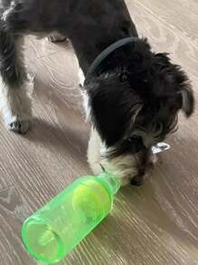Juguete para el proceso de dentición de mascotas con pelota de tenis en el interior, juguete masticable resistente de TPR para perros pequeños, juguete de juego duradero para perros