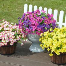 Artificial Flower Plants Outdoor Outdoor Decoration,12 Bundles Of Fake Silk Color Morning Glory UV Sunscreen Appearance Real Suitable For Spring/Summer Front Porch Garden POTS Garden Jars- No Container Included - Multicolor - View 8