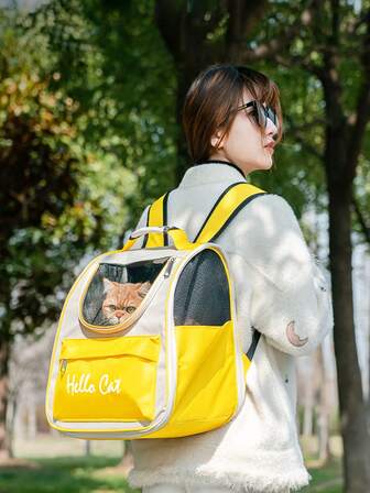 1 件猫咪背包，透气网眼宠物包，适合小型犬和各种猫咪