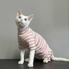 Classic Pink And White Striped Cat Clothes, Breathable Belly Band And Leg Wear For Hairless Cats, Sphynx, Devon Rex
