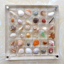 2 Pezzi Espositore Magnetico in Acrilico - Scatola di Stoccaggio Trasparente con 36 Scomparti, Adatta per Collezionismo, Gioielli, Conchiglie, Organizzazione e Decorazione della Casa, Vetrina per Collezioni