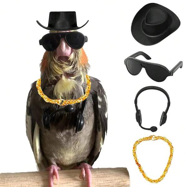 4 قطع / 5 قطع مجموعة ديكور حيوانات أليفة عشوائية الألوان، سماعات رأس صغيرة، قبعة كاوبوي، نظارات شمسية وقلادة ذهبية، حلقة السباحة الصيفية ألعاب تفاعلية، تناسب الطيور والحيوانات الأليفة الصغيرة، لجميع المواسم