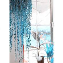 10 piezas de semillas de suculentas de hierba azul rara de primavera, 50 piezas / bolsa, plantas purificadoras de aire para el hogar - 1 - Ver 6