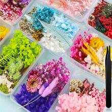 1 Box Of Random Colorful Natural Dried Flowers With Epoxy Resin Handmade Crafts DIY Bouquet Garland Candles Make A Home Wedding Box Flower Decoration