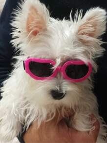 A Cool And Stylish Dog Sunglasses For Photo Shooting And Party, Adjustable Windproof Goggles For Small Dogs, Pet Eyewear Accessories In All Sizes