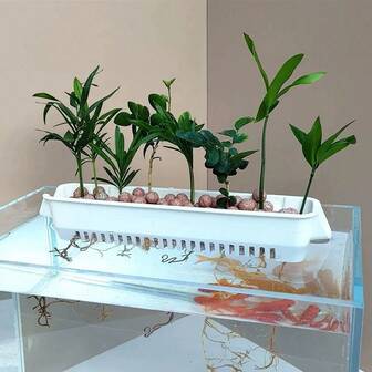 1 件水培植物篮，水族箱鱼缸壁挂式花盆架