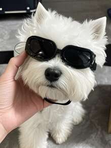 A Cool And Stylish Dog Sunglasses For Photo Shooting And Party, Adjustable Windproof Goggles For Small Dogs, Pet Eyewear Accessories In All Sizes