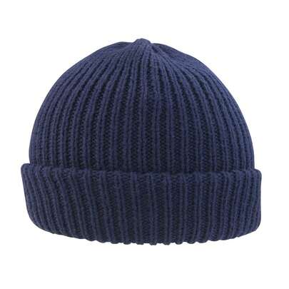 Result Whistler Beanie (Navy)