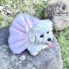 Cute Princess Wedding Dress For Dogs, Tulle Fabric With Bow Tie, Suitable For Small Dogs Like Poodle, Bichon Frise, Pomeranian - Pink - View 9
