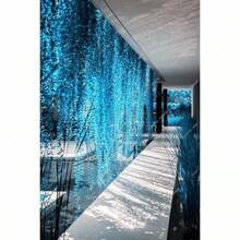 10 piezas de semillas de suculentas de hierba azul rara de primavera, 50 piezas / bolsa, plantas purificadoras de aire para el hogar - 1 - Ver 7