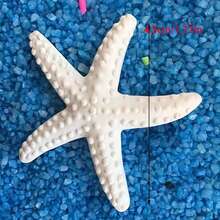 5-Piece Resin Nautical Figurine Set - Starfish, Seahorse, Shell Collectible Decor For Aquarium, Christmas, Home Accents - Multicolor - View 7