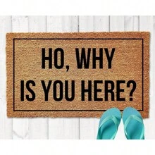 Door Mat Ho, Why Is You Here Welcome Non-Slip Mats Funny Doormat Decor For Bathroom Kitchen Front Porch Rugs Home Decor Entrance 24" X 16"