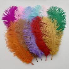 5/10/20 buc. 25-30 cm/9,8-11,8 inch Artificiale pene de struț Articole pentru petrecere Pene DIY Ziua Îndrăgostiților Accesorii pentru ambalaj cadouri Cusut Îmbrăcăminte Accesorii Pene Nuntă Decorație Casă Comodă Ornament Fond Foto Recuzită - Multicolor - Vizualizare 9