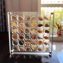 2 Pezzi Espositore Magnetico in Acrilico - Scatola di Stoccaggio Trasparente con 36 Scomparti, Adatta per Collezionismo, Gioielli, Conchiglie, Organizzazione e Decorazione della Casa, Vetrina per Collezioni