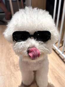 A Cool And Stylish Dog Sunglasses For Photo Shooting And Party, Adjustable Windproof Goggles For Small Dogs, Pet Eyewear Accessories In All Sizes