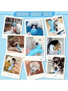 1 套宠物咀嚼玩具，狗玩具套装，适用于中小型犬，耐用的 TPR 材料，带有吱吱作响的咀嚼玩具，互动训练玩具套件，促进狗狗健康