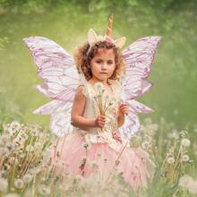 Fairy Wing For Girls Women Butterfly Wing For Halloween Costume Cosplay Christmas Birthday Present - Pink - View 4
