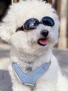 A Cool And Stylish Dog Sunglasses For Photo Shooting And Party, Adjustable Windproof Goggles For Small Dogs, Pet Eyewear Accessories In All Sizes