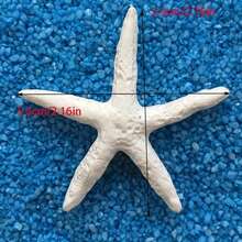 5-Piece Resin Nautical Figurine Set - Starfish, Seahorse, Shell Collectible Decor For Aquarium, Christmas, Home Accents - Multicolor - View 5