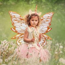 Fairy Wing For Girls Women Butterfly Wing For Halloween Costume Cosplay Christmas Birthday Present - trái cam - Xem 4